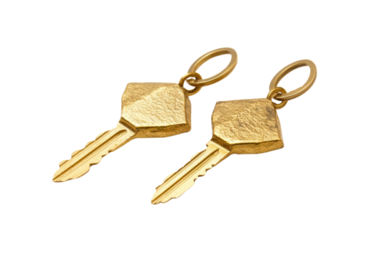 House key pair with metal house shaped keyring isolated on white background. PNG


