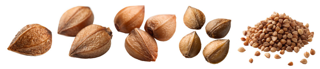 Set, Buckwheat groats on a transparent background. The concept of tasty and healthy food.