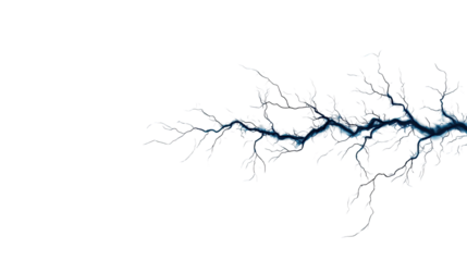 Twisted Blue Branch Rooting Into the Dark Background with Intricate Details and Texture for Artistic Use