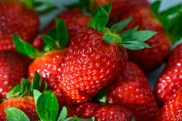 Lush strawberries glisten in the sunlight, showcasing their vibrant red hues in a summer harvest display