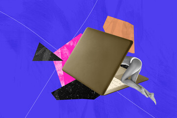 Banner image photo poster trend art collage of anonym girl climb laptop keypad wear panties...