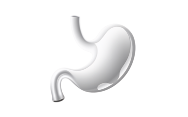 Minimalist Representation of a Human Stomach Design