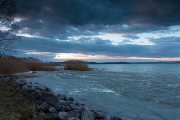 frozen lake with reeds