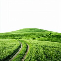 Exploring scenic green hills nature landscape outdoor environment serene viewpoint peaceful landscape