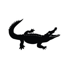 Cocodile alliytor selotte
