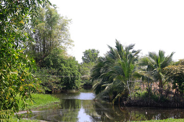The view of a tropical village with a transparent background