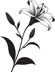 Isolated black flower icon Vector, black flower Silhouette,black flower icon set, black flower for logo,color black flower Vector illustration, Vector Graphic, EPS 10 , clip art work