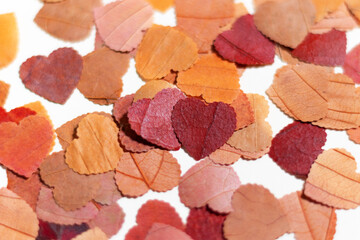 Eco heart-shaped confetti from leaves