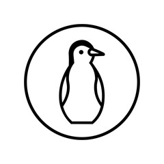 penguin on a white background