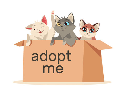 Kittens sitting in cardboard box. Homeless domestic animals find home, charity and adoption promotion, little cats, banner design or card, media post. Cartoon flat isolated vector concept