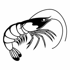 shrimp vector illustration on white background