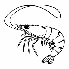 shrimp vector illustration on white background