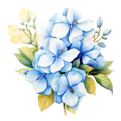 Elegant Hydrangea Flower Clipart Vector Illustration