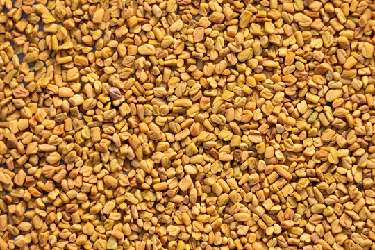 Fenugreek seeds, scientifically known as Trigonella foenum-graecum and also known as methi dana. Background full frame. Top view close-up.