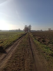road in the field