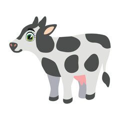 Black and White Calf