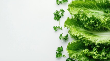 Fresh green lettuce leaves with curly edges on a clean white background, ideal for health and culinary related content.