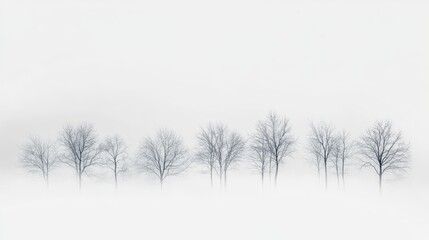 Minimalist silhouette of barren trees in a serene misty landscape conveying calmness and tranquility in nature's simplicity