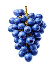 Blue grapes bunch isolated on a clean and minimalist white background with bold lines, blue grapes, white background, clean design, still life, minimalist