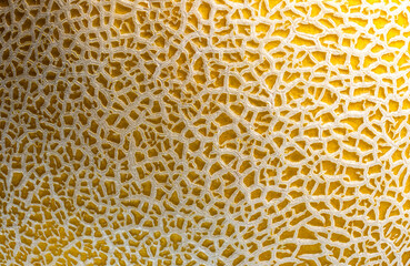 uneven texture of melon rind with yellow and white pattern close up