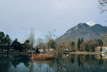 Fototapeta premium fir trees and mountains reflected in the lake