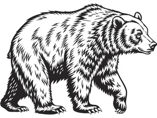 Side-View Grizzly Bear Sketch in Black and White - Popular Wildlife Illustration