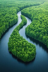 CO2 shaped trees on river bend, aerial view, environmental concept, green message