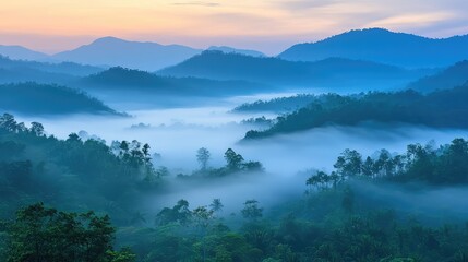 Enchanting Misty Tropical Rainforest Landscape at Dawn with Soft Blue Fog Rolling Over Lush Green Hills and Serene Mountain Backdrop