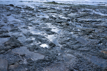 ゴツゴツした岩の潮溜りと透き通った青い海
