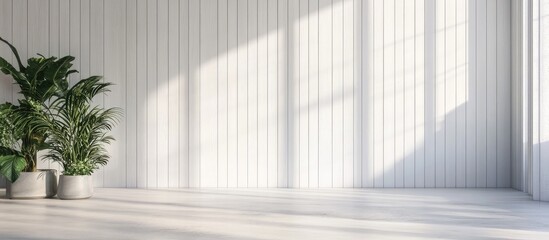 Modern minimalist interior with white walls, wooden flooring, and potted plants casting shadows, Copy Space available for text placement