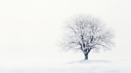 Lonely winter tree covered with snow on a foggy background showcasing minimalistic landscape with Copy Space for text placement