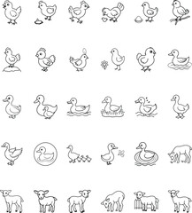 Farm Animals Chickens, Ducks, and Lambs Illustration Set