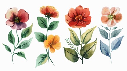 Beautiful Watercolor Floral Illustration with Flowers and Leaves