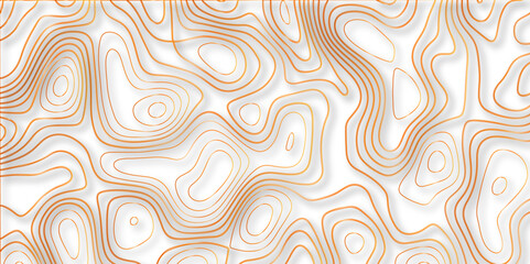Topographic canyon geometric map relief texture with curved layers and shadow. abstract White background with a beautiful pattern, Topographic contour lines vector map seamless pattern vector.