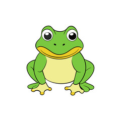 frog isolated on white