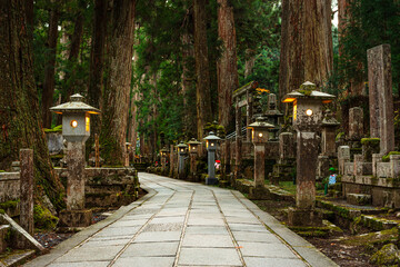 Alley of stone lanterns in forest, Buddhist cemetery of Oku-no-in, Koyasan (Koya-san), Kansai, Honshu, Japan