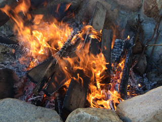 Fototapeta premium Fuoco