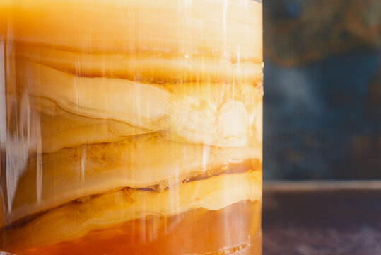 close up of  Scoby Hotel in a glass jar,  Kombucha scoby is an abbreviation for Symbiotic Colony of Bacteria and Yeast