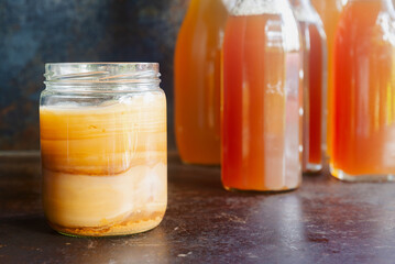 Scoby Hotel in a glass jar on rustic table,  Kombucha Scoby is an abbreviation for “Symbiotic...