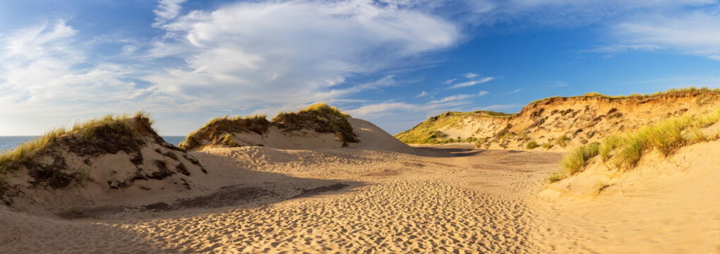 Sand dunes at Red Cliffs (Rotes Kliff), Kampen, Sylt, Schleswig Holstein, Germany, Europe