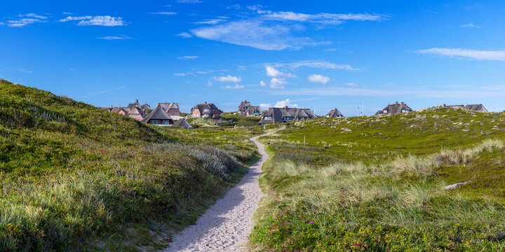 Path through heather, Rantum, Sylt, Schleswig Holstein, Germany, Europe