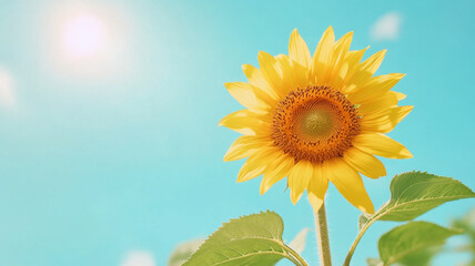 Vibrant sunflower blooming under clear blue sky, radiating warmth and joy. bright yellow petals contrast beautifully with serene backdrop, creating cheerful atmosphere
