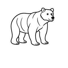 polar bear vector illustration, line art  on white background