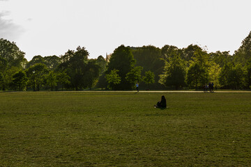Peaceful Park Landscape with Trees and Visitors in London