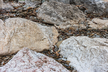 Close-Up View of Rocks and Pebbles on a Coastal Shoreline