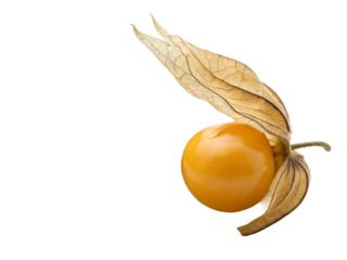 A ripe ground cherry isolated on a transparent background