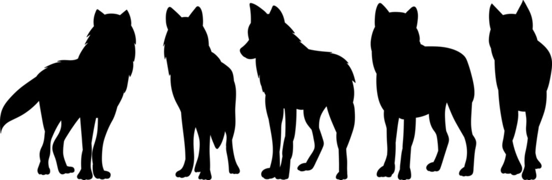 wolves standing black silhouette vector