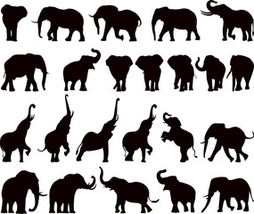 elephants in different poses silhouette set, vector collection