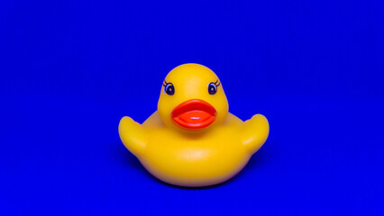 Yellow rubber duck isolated on white background