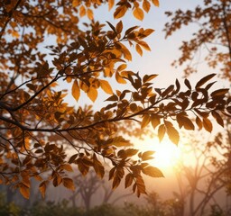 Fototapeta premium Branches and leaves in sunlight during sunset, glowing light, sunlight, warmth